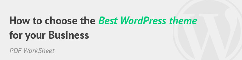 Get the PDF WorkSheet to choose the best WordPress theme