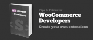 Book WooCommerce for Developer to buy